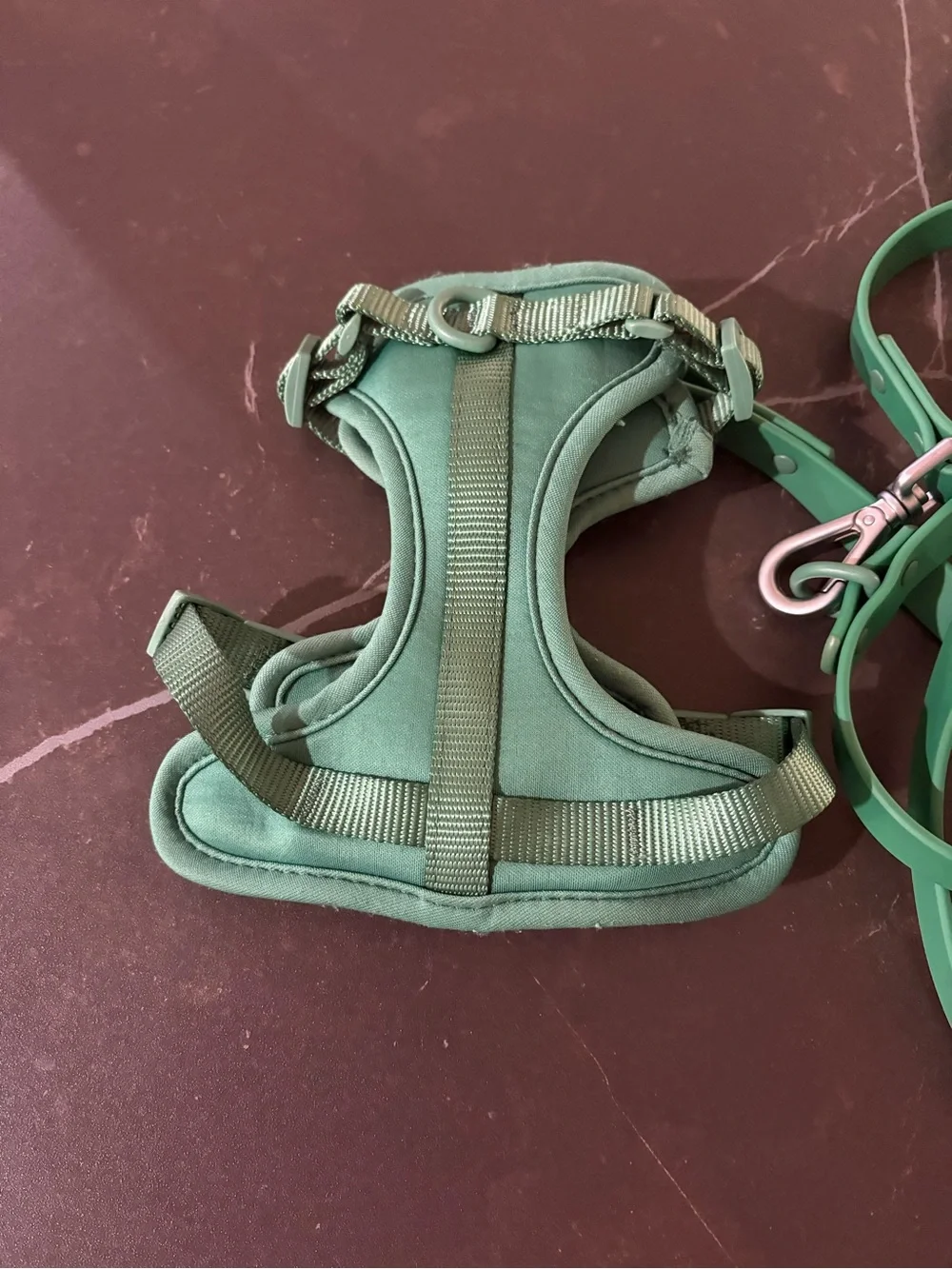 Wild One XS harness/leash set in color Spruce
